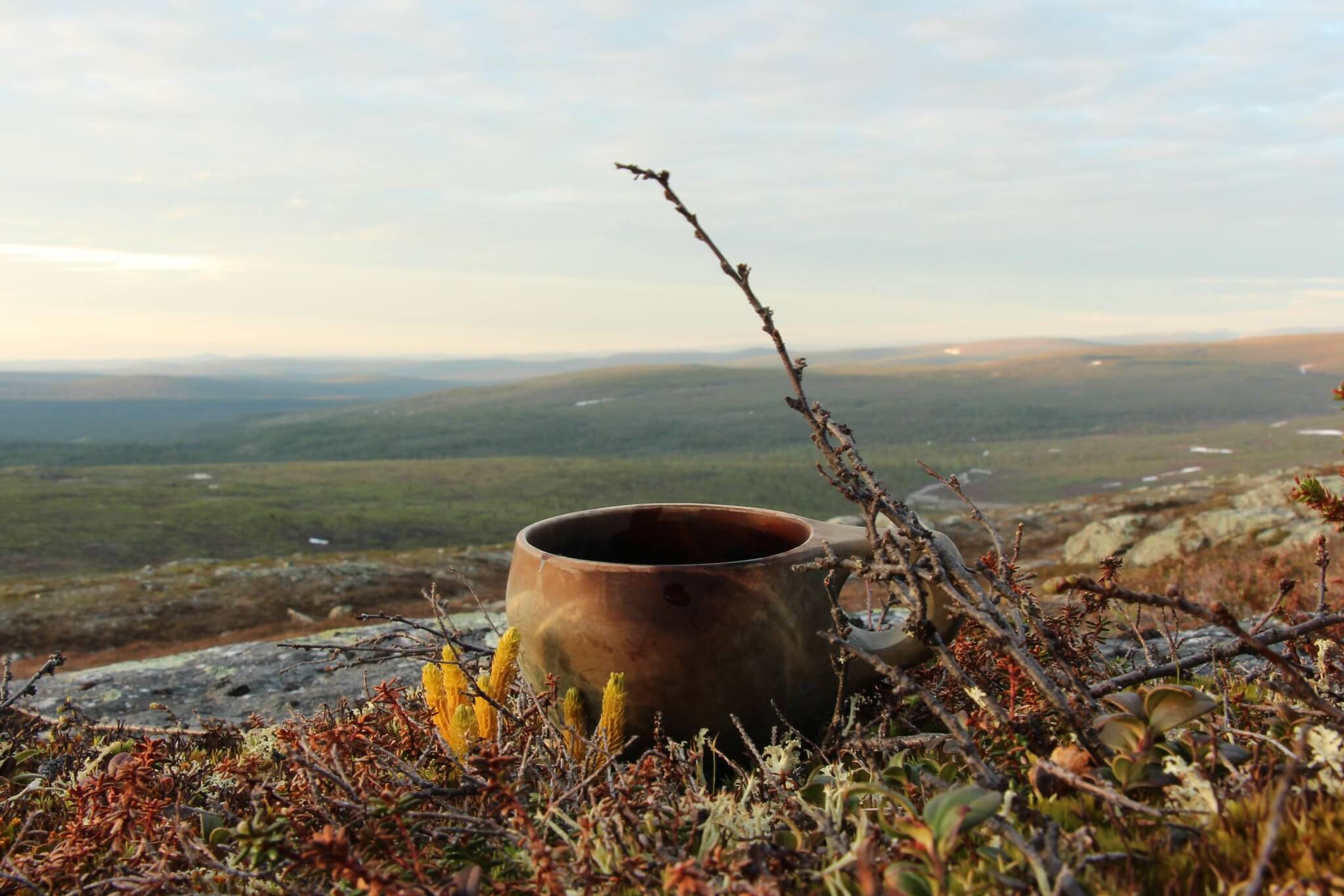 Kuksa, jonka taustalla tunturimaisema